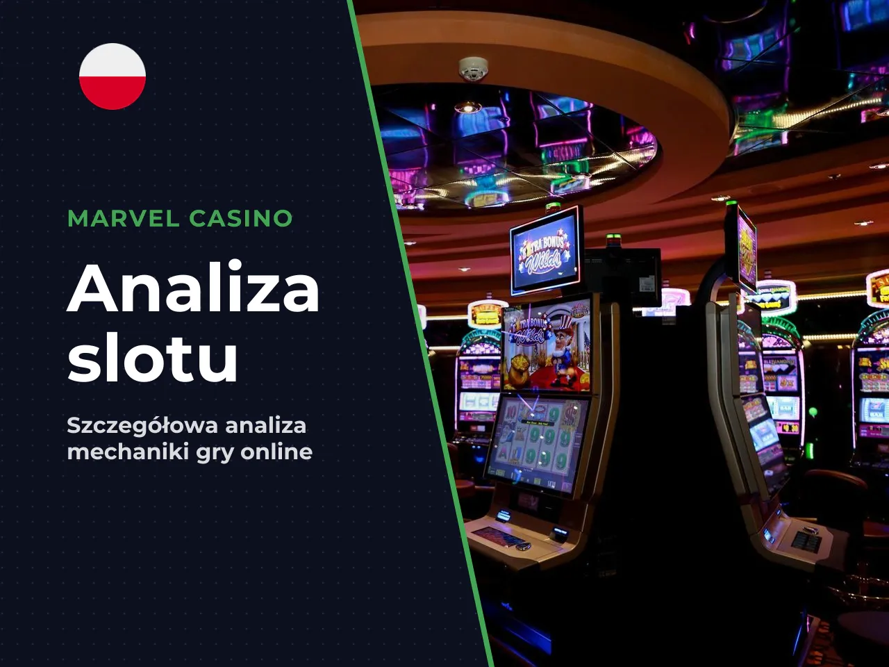 Ten artykuł to szczegółowa analiza popularnego